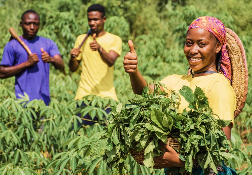 Era Agro Garden Team and Farm