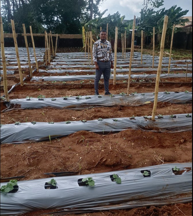 Farm Setup and Agricultural Consultation