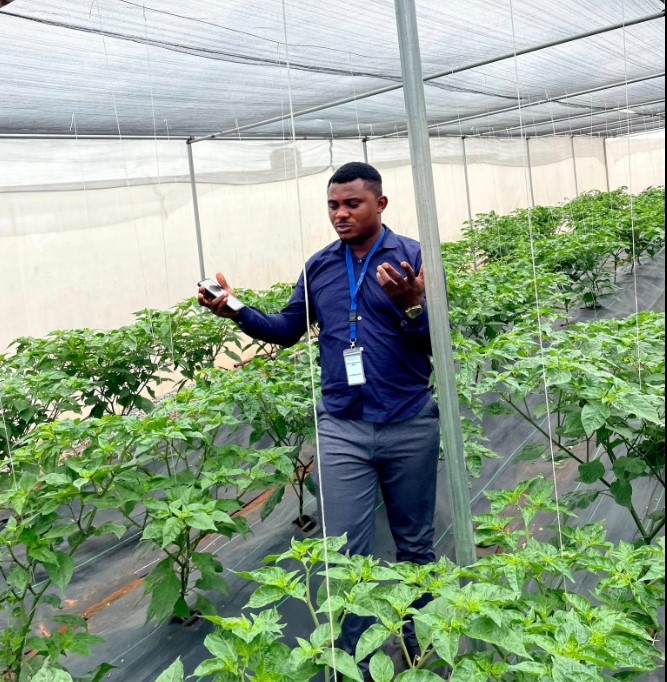 Professional Greenhouse Installation