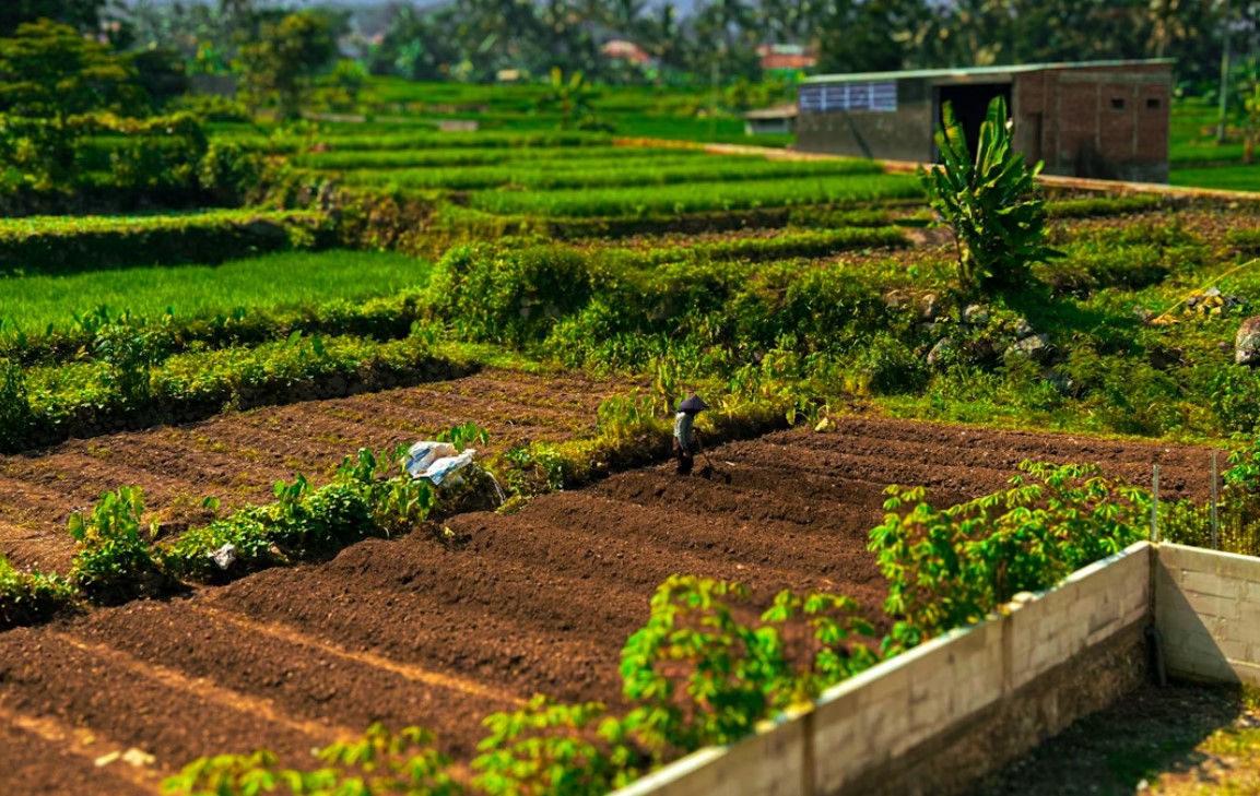 Permaculture Farming System